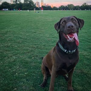 Meet your Posher, David